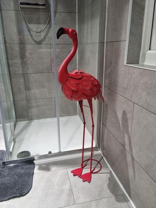 Flamingos Nest Oxford Countryside Apartment Oxford - Bicester Village - Blenheim Palace - Wifi- Free Parking Exterior foto